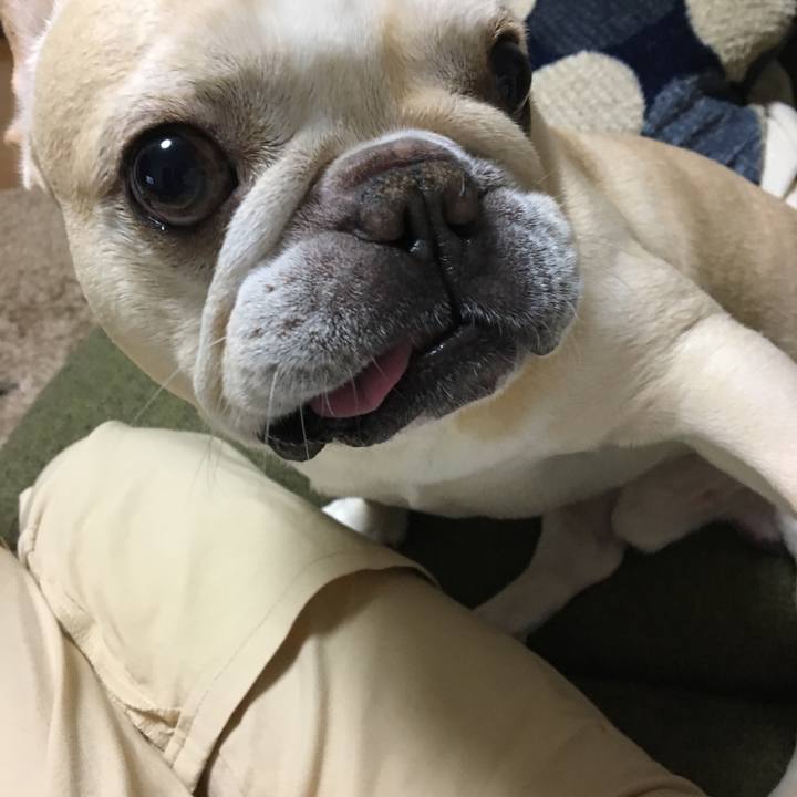 1ddb6d6e 96d5 4bb1 b00d b34e617ba369