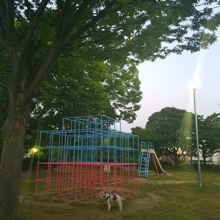 1ddb804b 278c 4325 8d98 4ee08c90f105