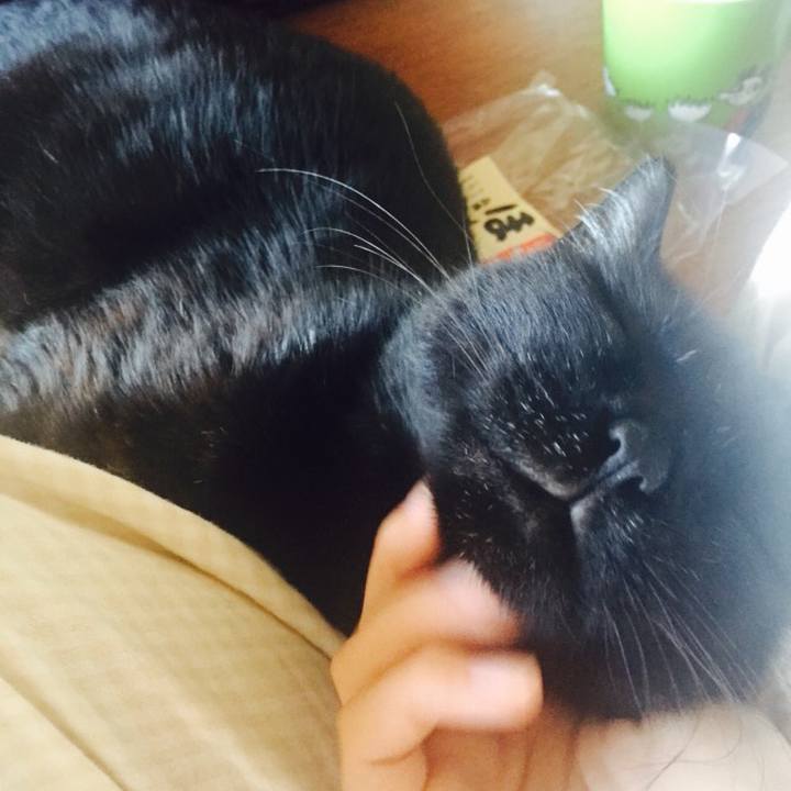 1ddbfae7 bed6 4e8a 81e0 8e7c3177b848