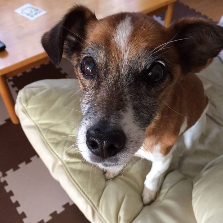 1ddd2df0 bd47 4c9f a23c ba2125928a45