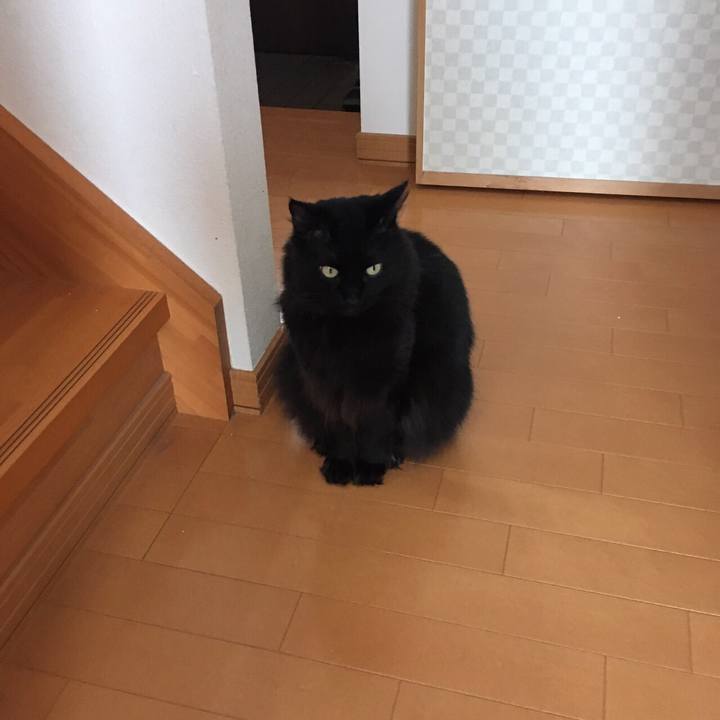 1ddd66b9 1adb 4b07 9a94 d8e8a6045649