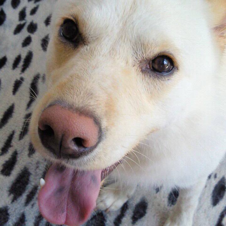 1dde2456 4888 4089 a0b2 6a56179ea3d5