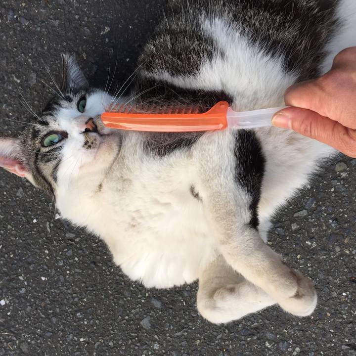 1dde3485 7374 42f3 9a40 2e20b78d5206