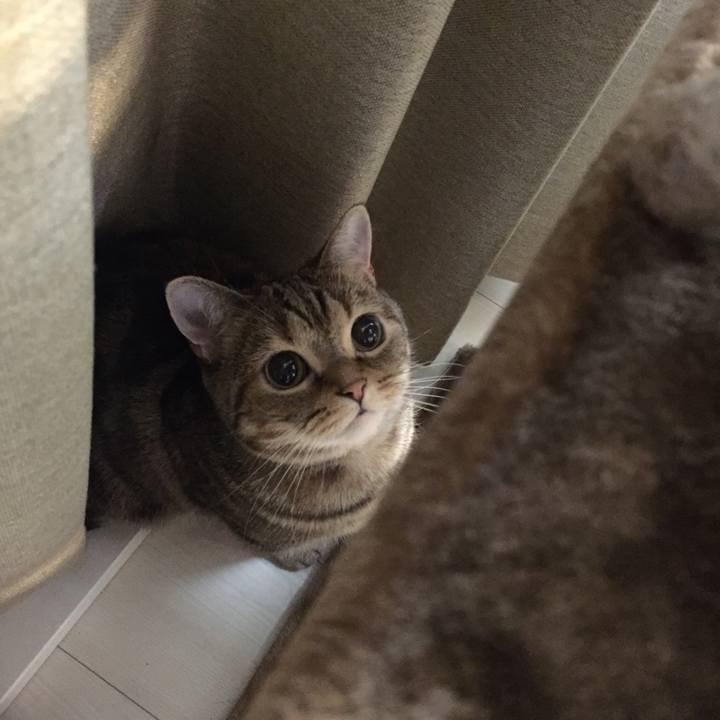 1dde6e16 1f0a 478c 9ae2 ae220d5d0716