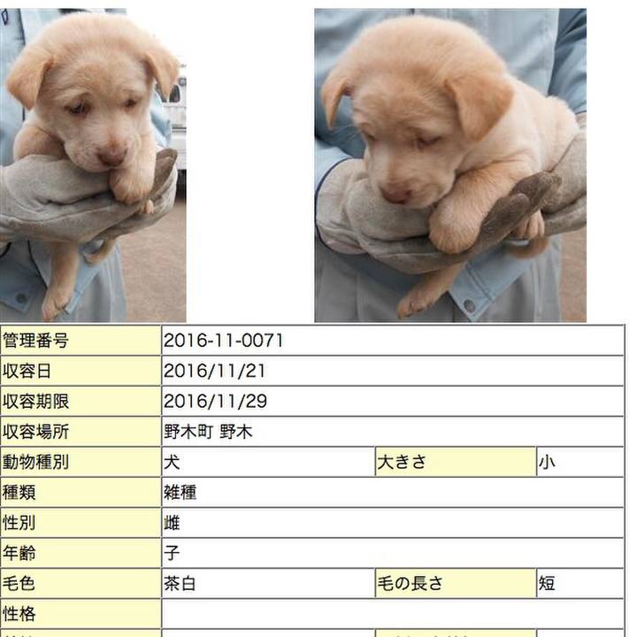 1dded045 4c03 4e13 b0e0 eec8f23740fc