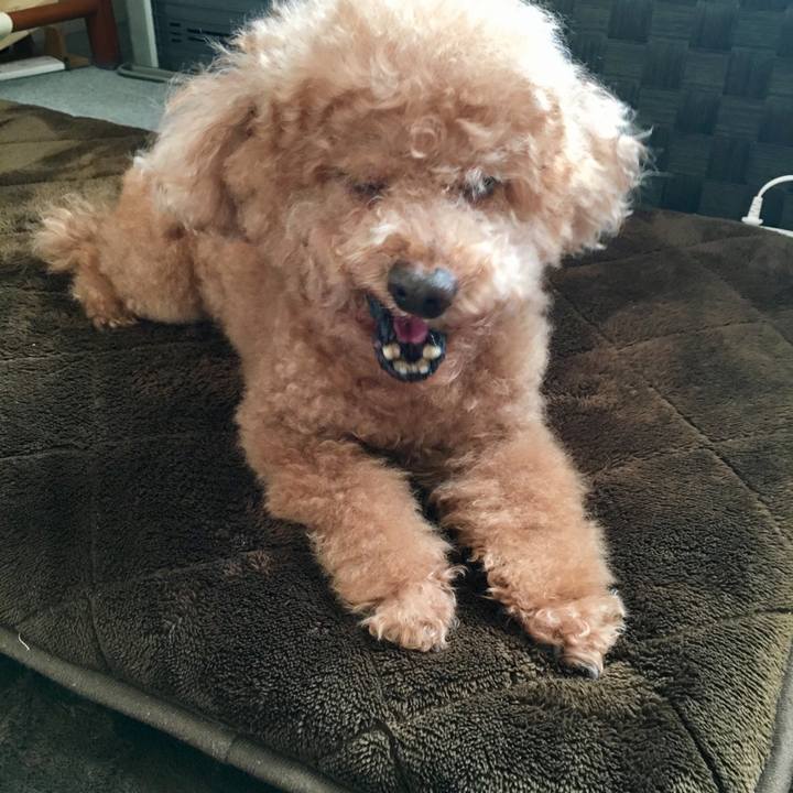 1de07271 77b6 4135 9b23 f60f94a8e483