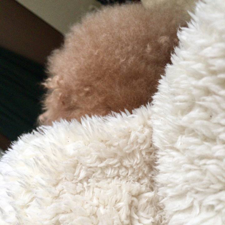 1de07465 222d 4841 a1e9 ed8b327acd14