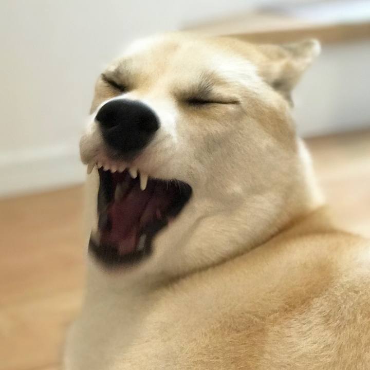 1de1a1e0 46e9 4860 a359 df766507f984