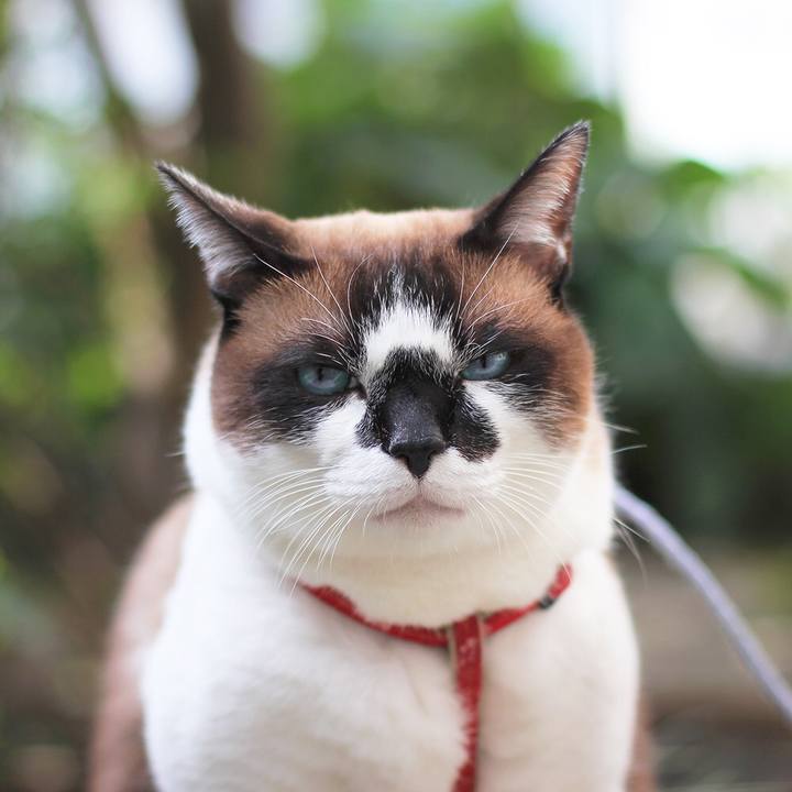 1de24661 b7c3 4b70 9817 0ab8bf92b915