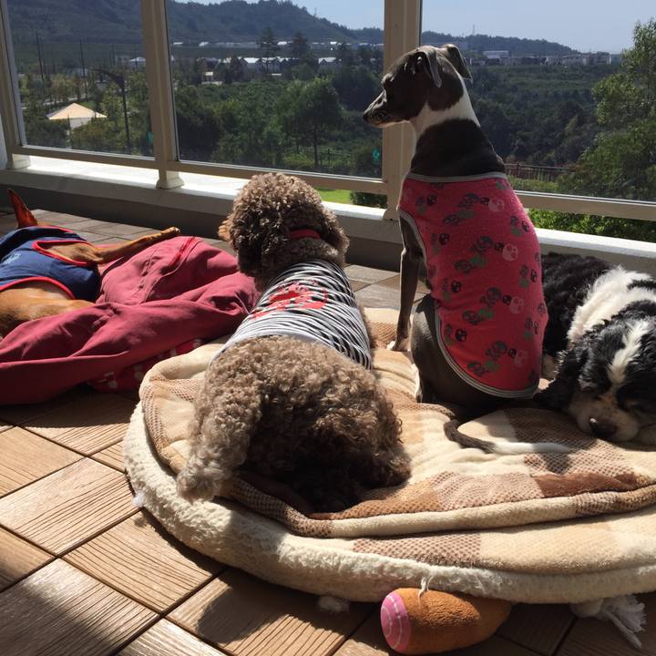 1de2524a bf13 4347 bc60 c0abd368eb99