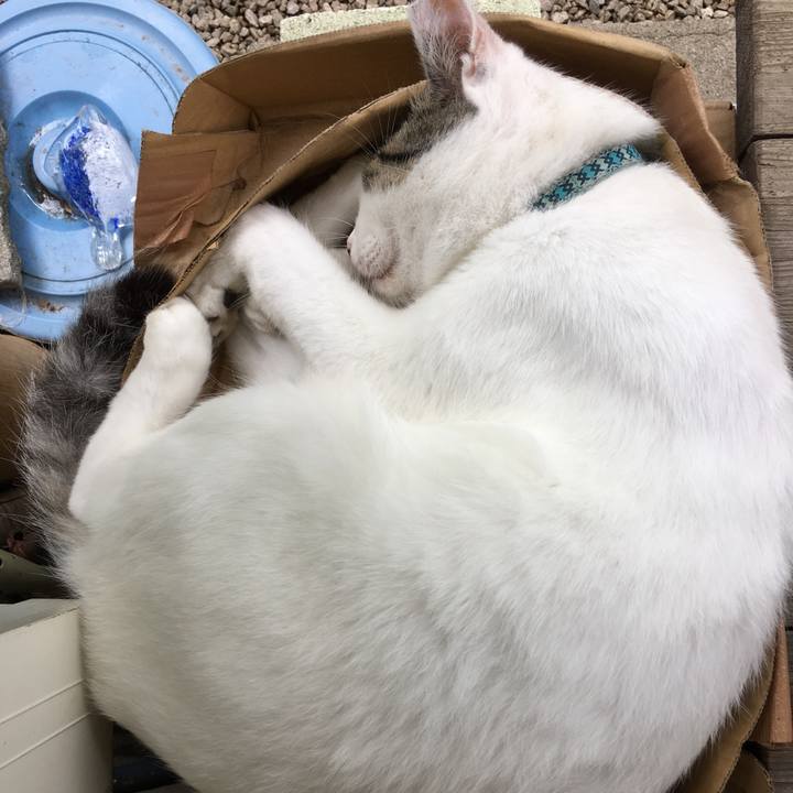 1de2925a b778 4003 b206 fc207c447e30