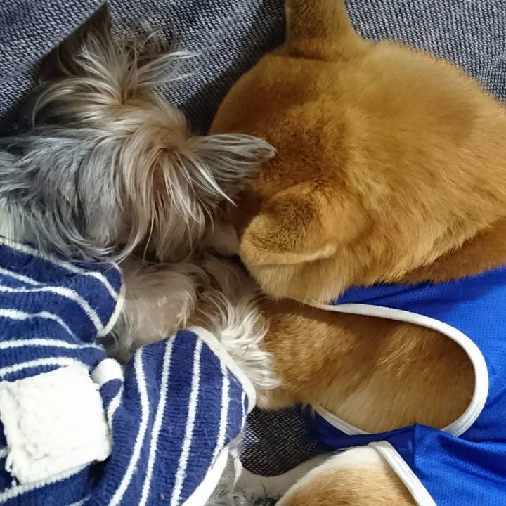 1de2db42 bb48 4f46 a26b ecbdc0eeb4b9