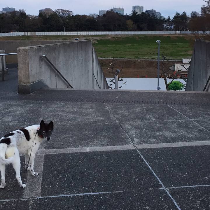 1de2fb03 6e48 4f20 ba6f fa094f00d21d