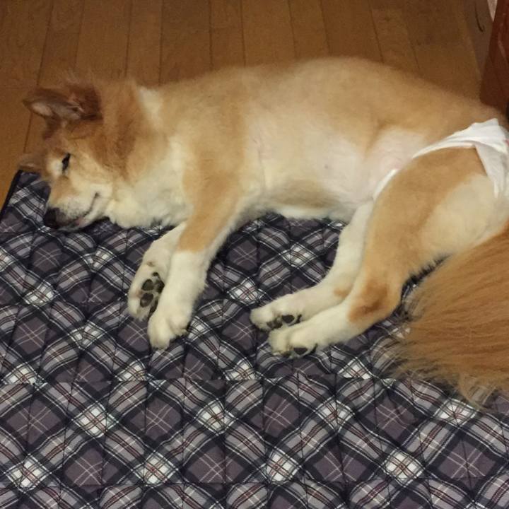 1de355e6 bb36 4909 9f9e 4bc5ded20deb