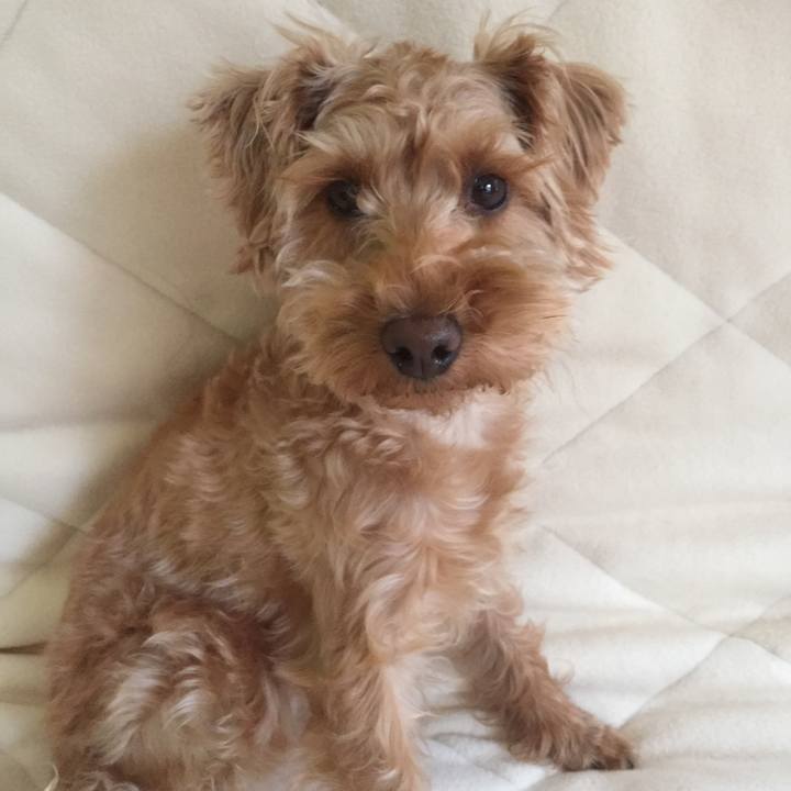 1de3834a 6834 430d 8fd1 348c7cd60523