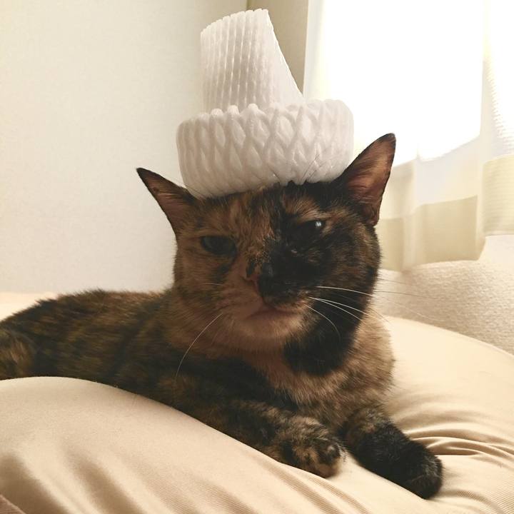 1de4108d e9fd 4c16 a3d5 f4563bc947ba