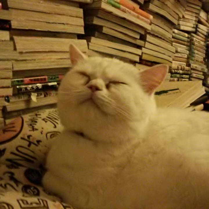 1de425de c6bd 4ad1 9c75 8211f6e052cc