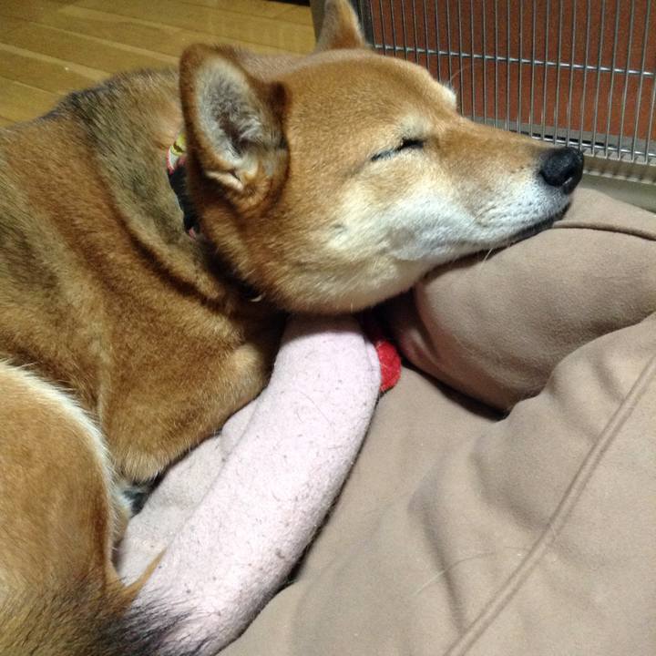 1de42f08 2fee 4de9 8969 d3e7ef4acdd1