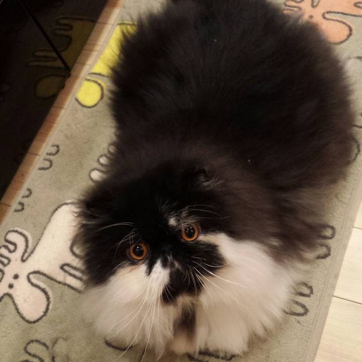 1de4de3b 3ccc 476a a3f2 e1c24f5cd2bc