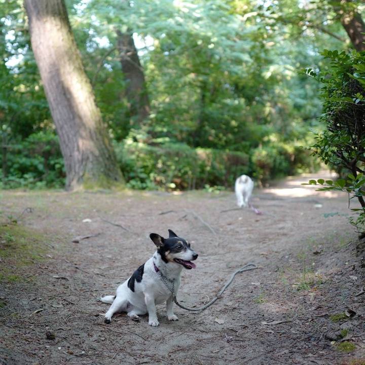 1de5106b 5e36 4580 b524 285ef7a6fade