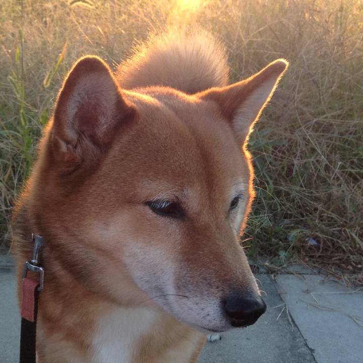 1de54477 4457 438d aa58 0f52fa4616d2