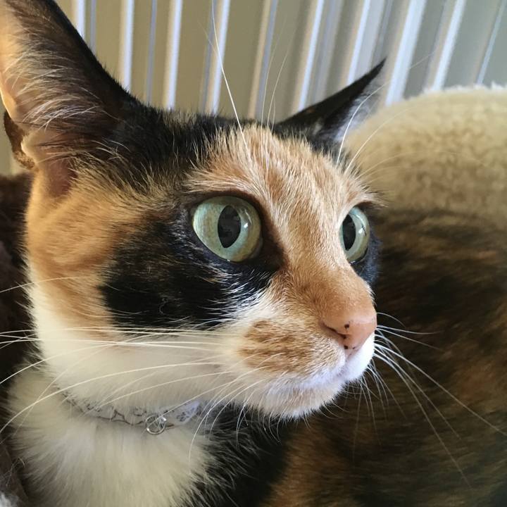 1de59844 58bf 4dbc 97bd 80ae108c17e0