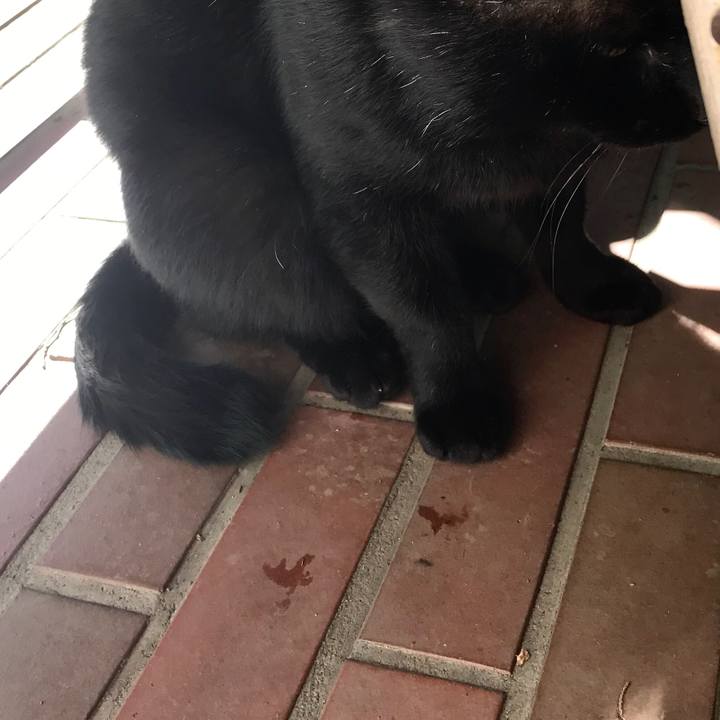 1de5f920 f392 4ea4 a1da 3847eb274445