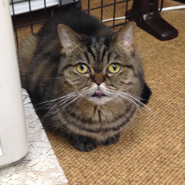 1de60c12 e7df 4dc6 9399 74c3061a0f80