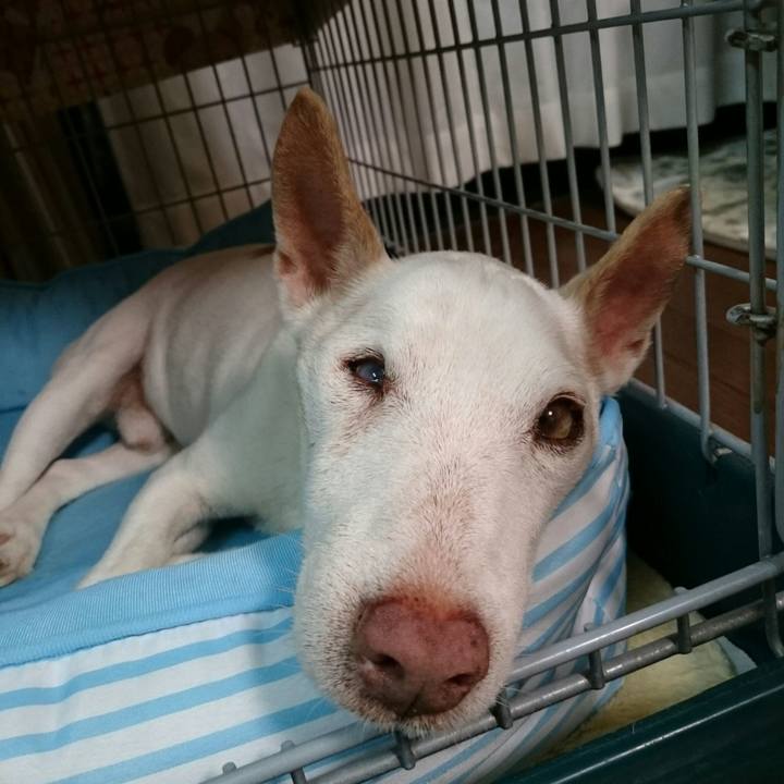 1de754ff b39a 43c2 8c9b b8814fbe55d5