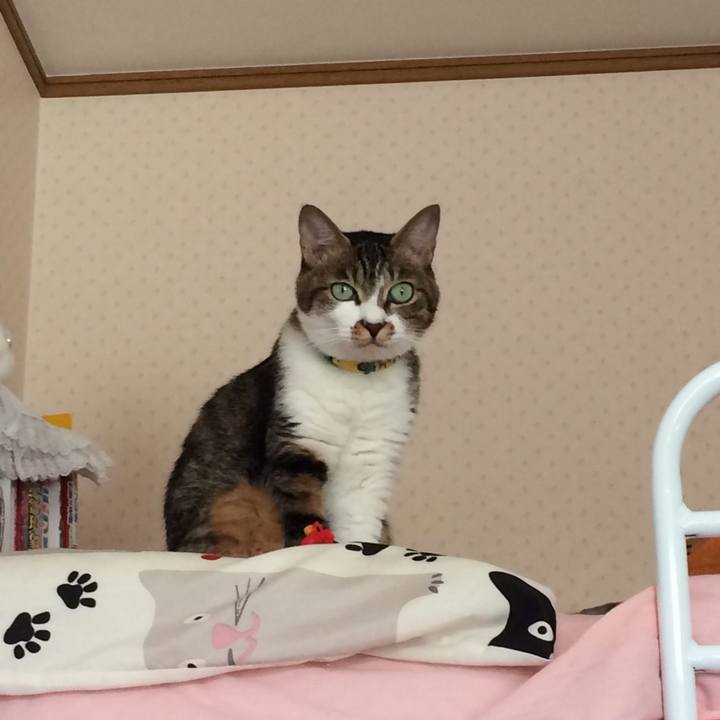 1de78282 ee29 4687 9fdd df449b9835dc