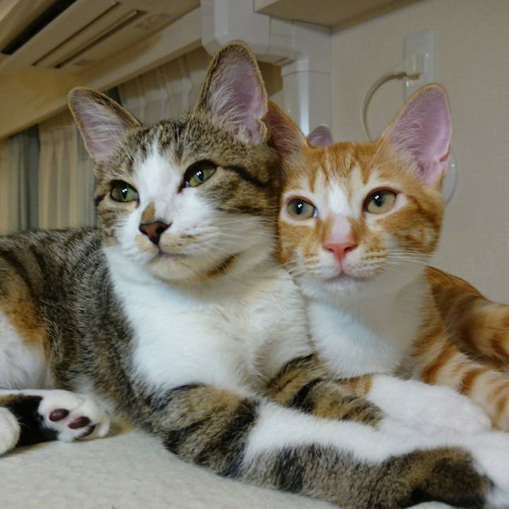 1de89c9f 0dba 4a6f 85df 050345a5243d