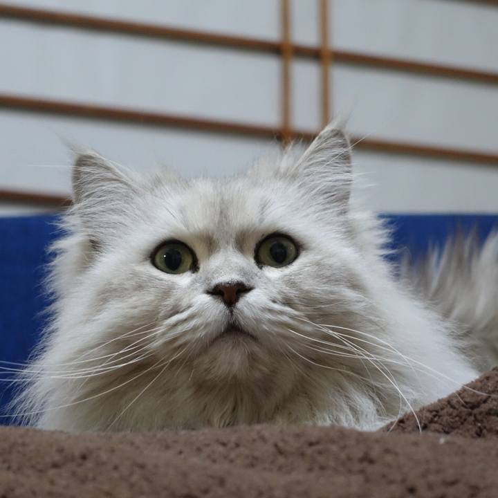 1de8b478 951e 47dd b2e7 8ea451474a6e