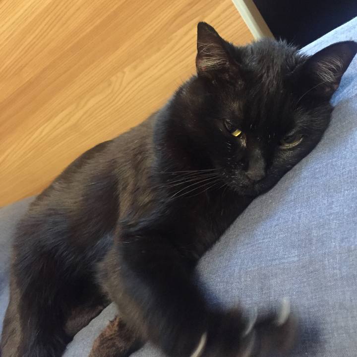 1de95e9d ee19 429f 8b56 f61e46c9e3fe