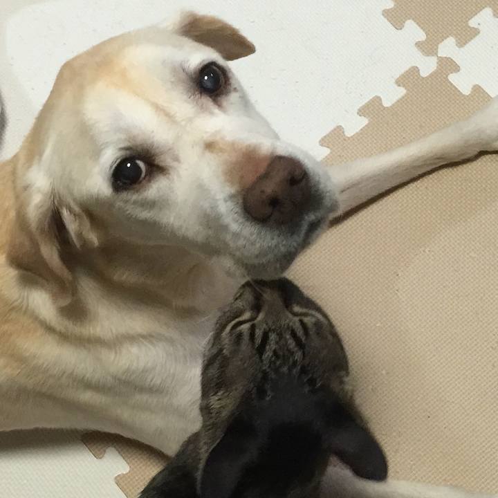 1dea0be5 b5bd 4156 9b73 41a162a620ba