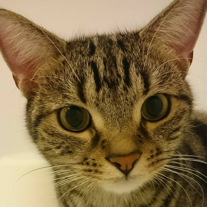 1dea49f1 b7e9 44a3 8deb ddbdce0ac5a4