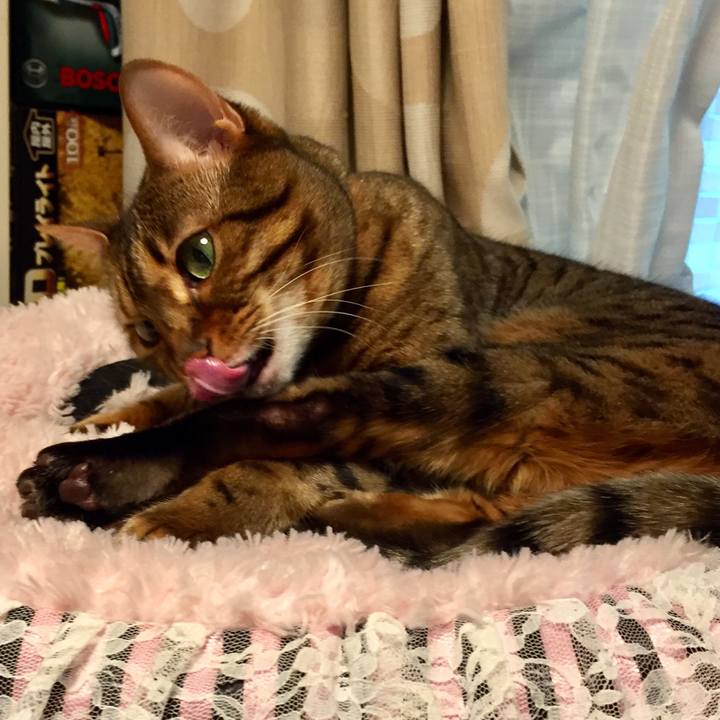 1deab092 2640 4c60 b5d1 957d2021b40a