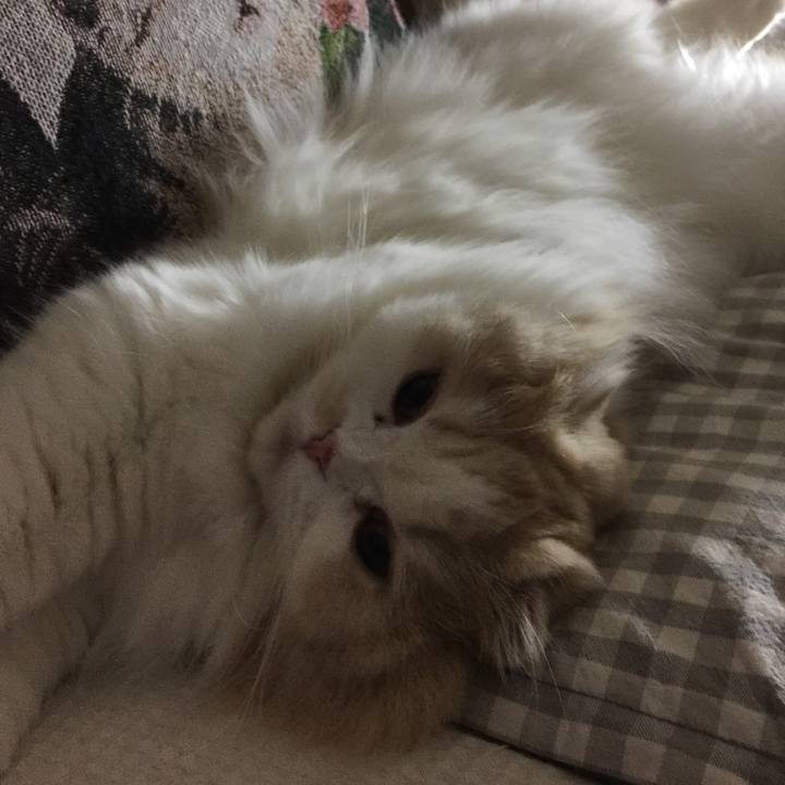 1deadbd8 7b10 4f4d 819c ec6f98ce9eff