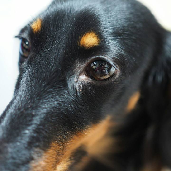 1deafa94 e928 4d96 9b04 10851b3b8be0