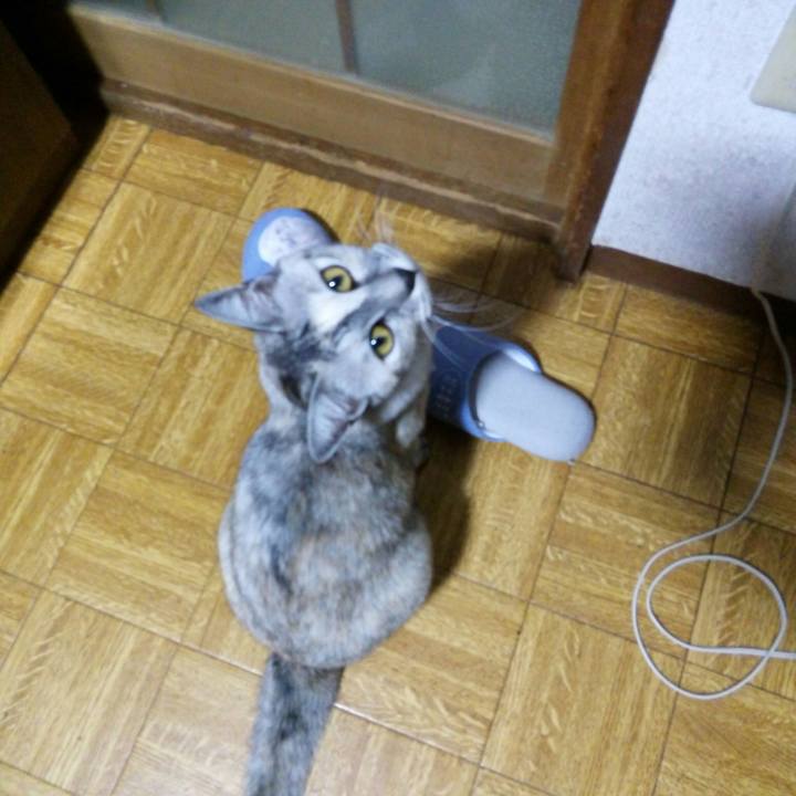 1deb18ad 1cae 41c8 b071 5ca6e12e18a8