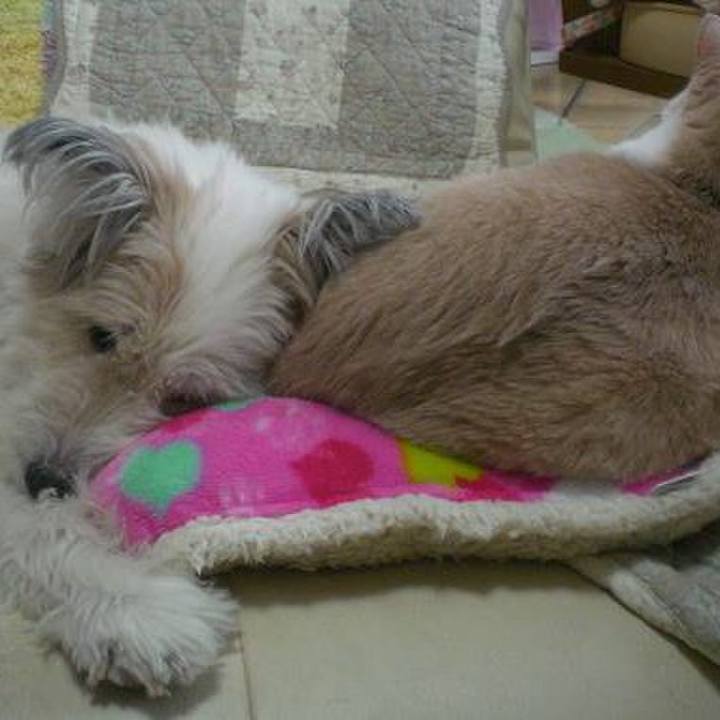 1debb007 3423 45e2 a96f 3b2bb3ec32fb