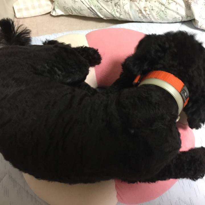 1dec2b71 4662 4a4c 9b20 ae2b1b24634e