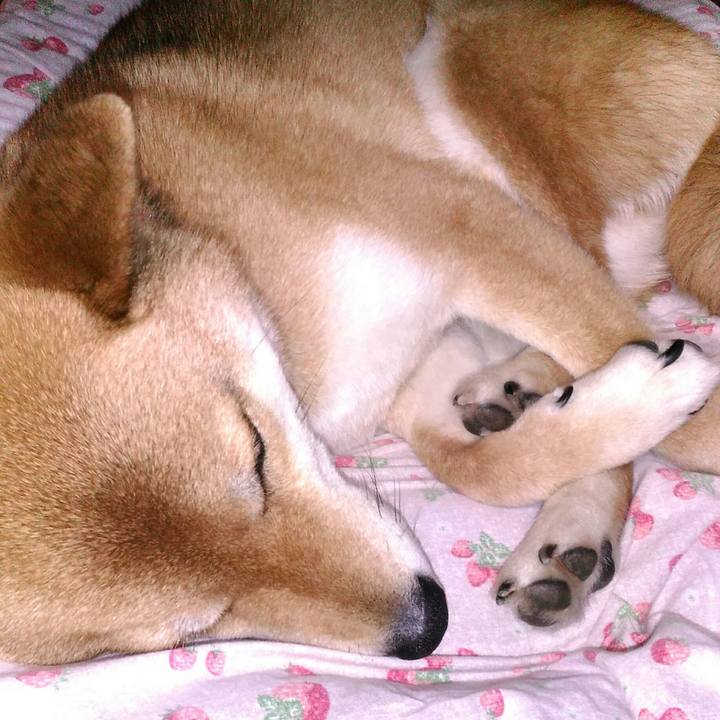 1dec8ac3 3068 45e5 bc75 c67232074644