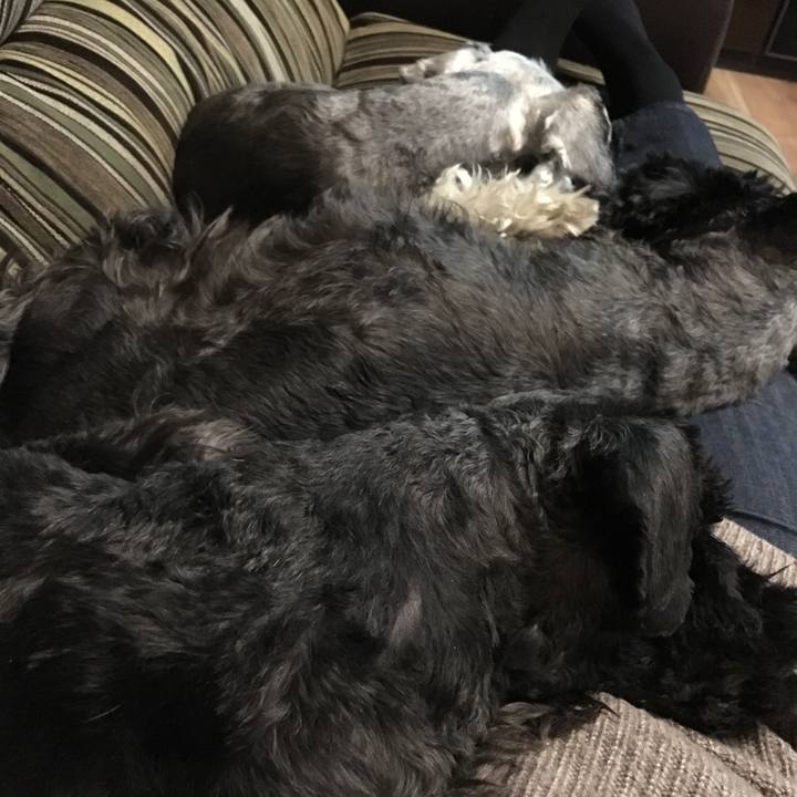 1dec9f21 db5b 4c04 b0f2 f4af21056660