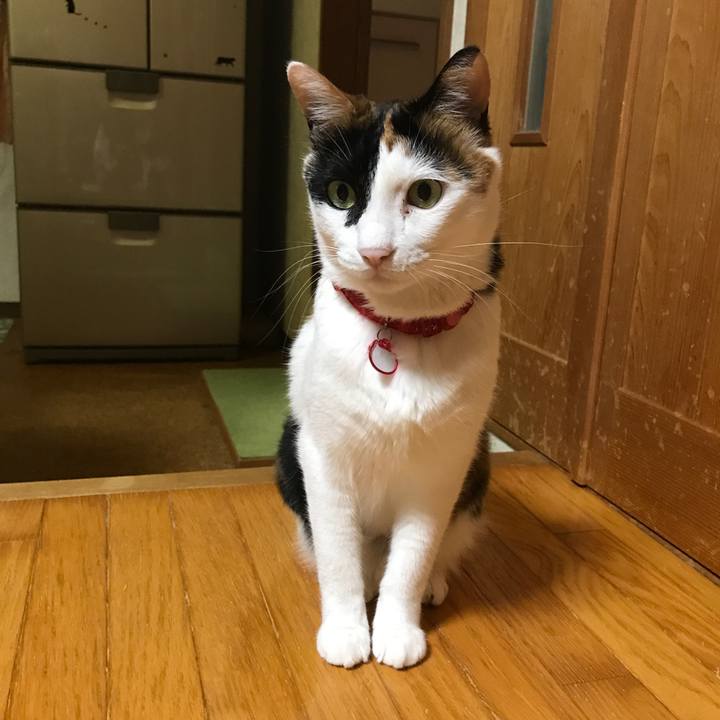 1ded1ef7 fb38 4ac8 a614 216a7bab7562