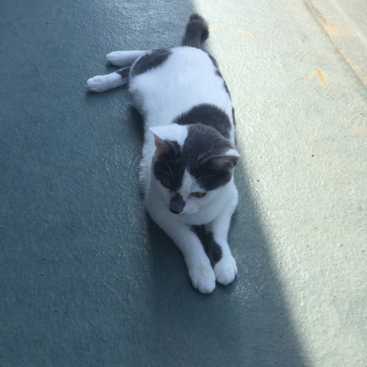 1ded349c fe4b 4422 8087 246aed6dcf16