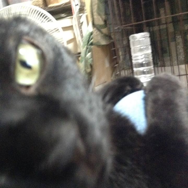 1ded93c3 500f 4eb5 8b7d d1621c2bcfb3