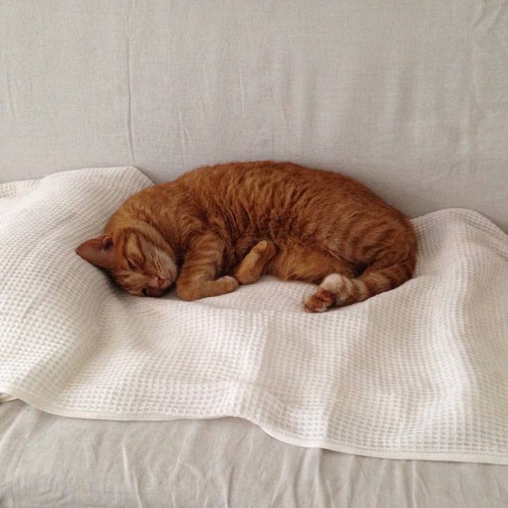 1ded9539 805c 4e2d be36 f1331051c1f0