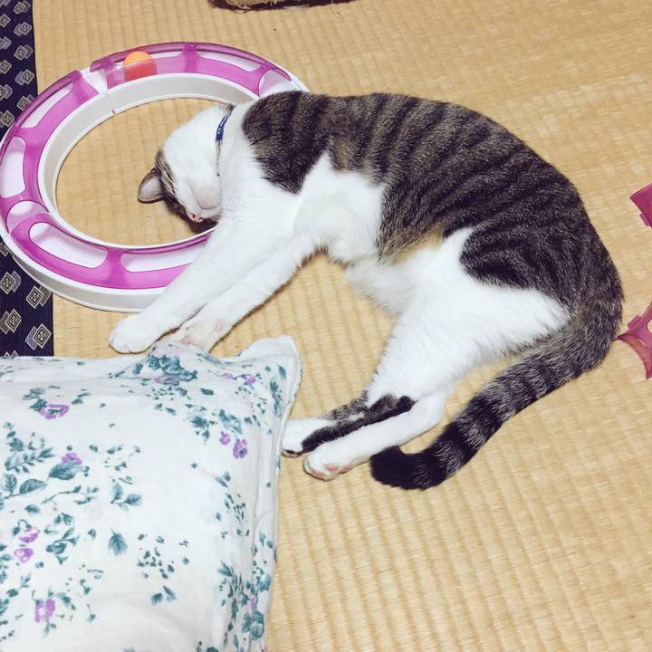 1dee8108 248f 4dc0 a962 630c95b134ce