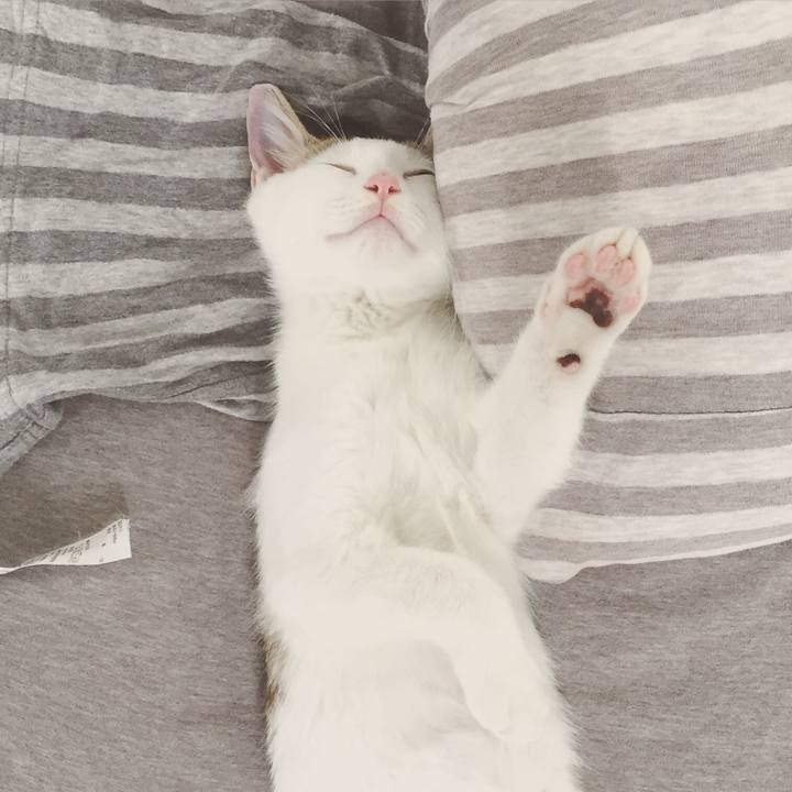 1dee8b64 81ec 4ebf 9f3e b9477fafdc49