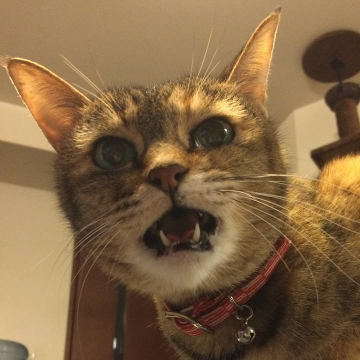 1defc63f 61ff 4123 a994 e2dea77ef417